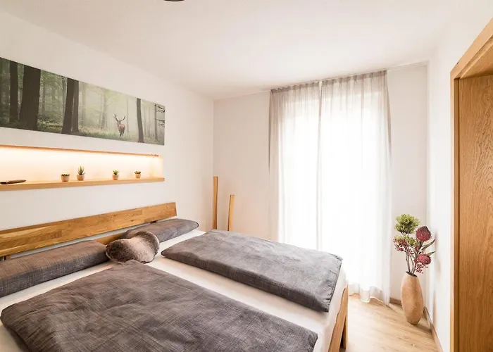 Apartmán Alpen-lounge 17 *