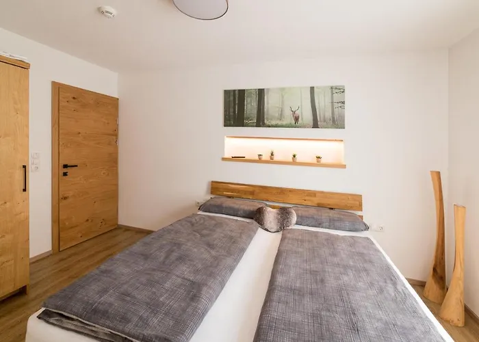 公寓 Alpen-lounge 17